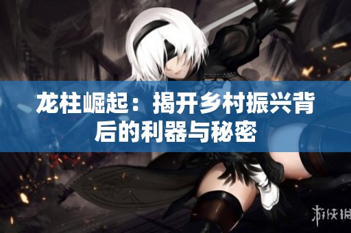 龙柱崛起：揭开乡村振兴背后的利器与秘密