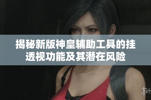 揭秘新版神皇辅助工具的挂透视功能及其潜在风险