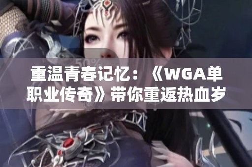 重温青春记忆：《WGA单职业传奇》带你重返热血岁月