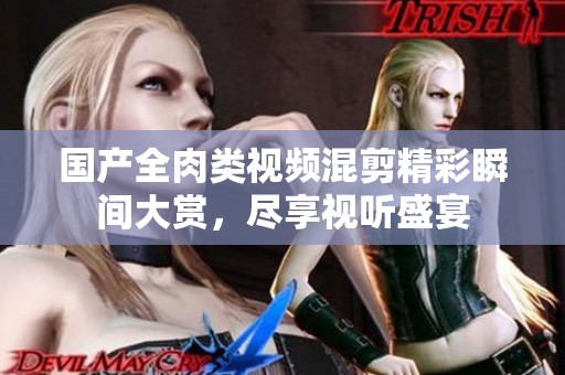 国产全肉类视频混剪精彩瞬间大赏，尽享视听盛宴