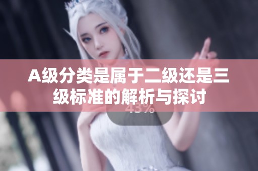 A级分类是属于二级还是三级标准的解析与探讨