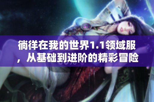 徜徉在我的世界1.1领域服，从基础到进阶的精彩冒险探秘之旅