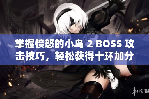 掌握愤怒的小鸟 2 BOSS 攻击技巧，轻松获得十环加分秘籍揭秘