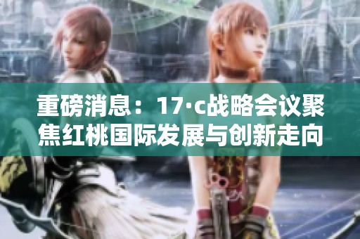 重磅消息：17·c战略会议聚焦红桃国际发展与创新走向