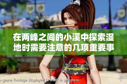 在两峰之间的小溪中探索湿地时需要注意的几项重要事项
