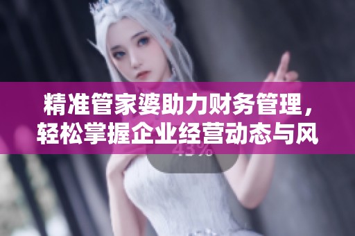 精准管家婆助力财务管理，轻松掌握企业经营动态与风险分析