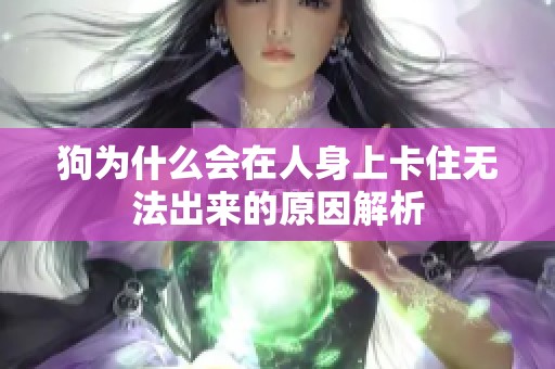狗为什么会在人身上卡住无法出来的原因解析