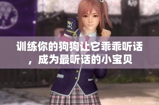 训练你的狗狗让它乖乖听话，成为最听话的小宝贝