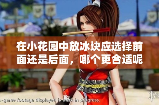 在小花园中放冰块应选择前面还是后面，哪个更合适呢
