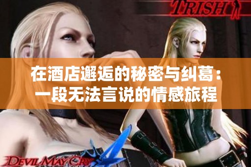 在酒店邂逅的秘密与纠葛：一段无法言说的情感旅程