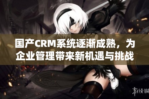 国产CRM系统逐渐成熟，为企业管理带来新机遇与挑战