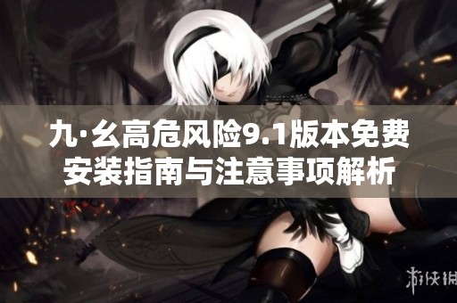 九·幺高危风险9.1版本免费安装指南与注意事项解析