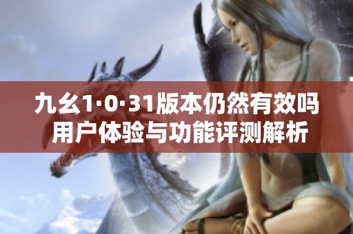 九幺1·0·31版本仍然有效吗 用户体验与功能评测解析