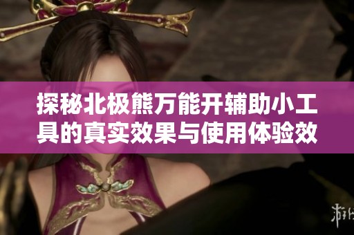探秘北极熊万能开辅助小工具的真实效果与使用体验效果分析