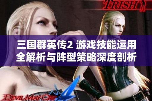 三国群英传2 游戏技能运用全解析与阵型策略深度剖析