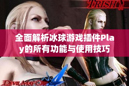 全面解析冰球游戏插件Play的所有功能与使用技巧