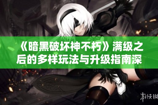 《暗黑破坏神不朽》满级之后的多样玩法与升级指南深度解析
