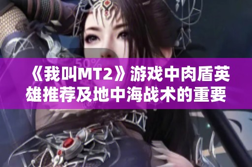 《我叫MT2》游戏中肉盾英雄推荐及地中海战术的重要角色分析