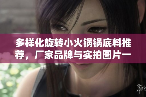 多样化旋转小火锅锅底料推荐，厂家品牌与实拍图片一网打尽