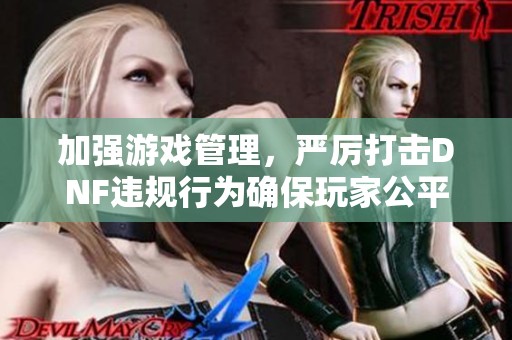 加强游戏管理，严厉打击DNF违规行为确保玩家公平体验