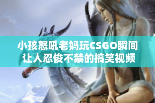 小孩怒吼老妈玩CSGO瞬间 让人忍俊不禁的搞笑视频