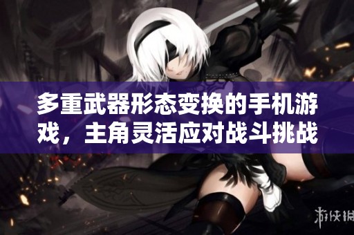 多重武器形态变换的手机游戏，主角灵活应对战斗挑战的方法