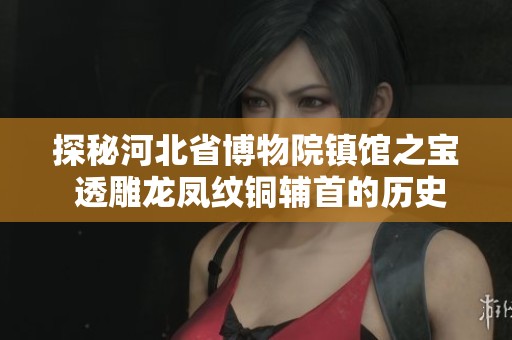 探秘河北省博物院镇馆之宝 透雕龙凤纹铜辅首的历史与艺术魅力