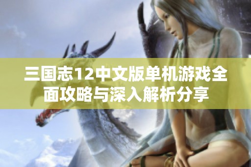 三国志12中文版单机游戏全面攻略与深入解析分享