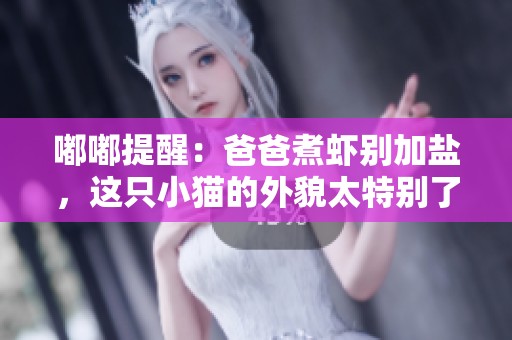 嘟嘟提醒：爸爸煮虾别加盐，这只小猫的外貌太特别了