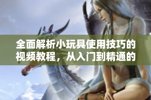 全面解析小玩具使用技巧的视频教程，从入门到精通的详细指南