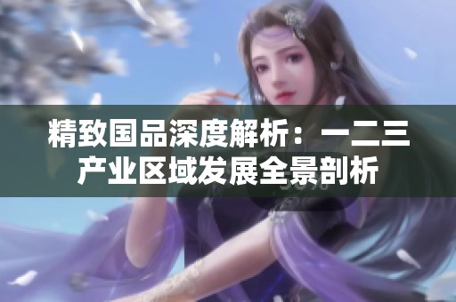 精致国品深度解析：一二三产业区域发展全景剖析