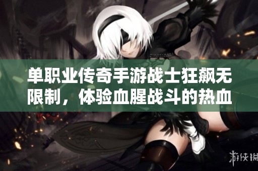 单职业传奇手游战士狂飙无限制，体验血腥战斗的热血传奇旅程