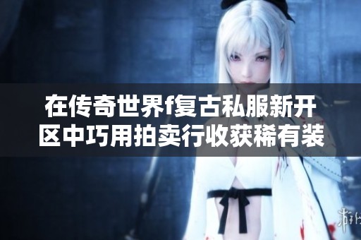 在传奇世界f复古私服新开区中巧用拍卖行收获稀有装备攻略