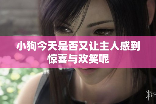 小狗今天是否又让主人感到惊喜与欢笑呢