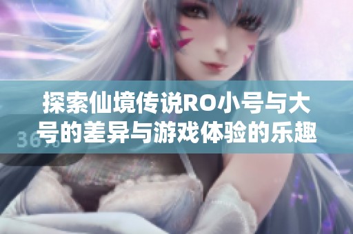 探索仙境传说RO小号与大号的差异与游戏体验的乐趣所在