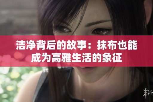 洁净背后的故事：抹布也能成为高雅生活的象征