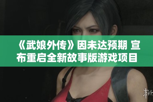 《武娘外传》因未达预期 宣布重启全新故事版游戏项目