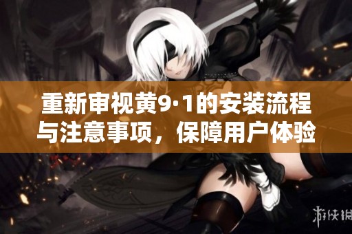 重新审视黄9·1的安装流程与注意事项，保障用户体验提升