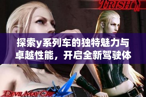 探索y系列车的独特魅力与卓越性能，开启全新驾驶体验