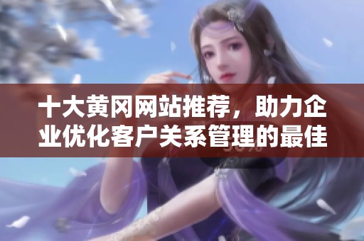 十大黄冈网站推荐，助力企业优化客户关系管理的最佳选择