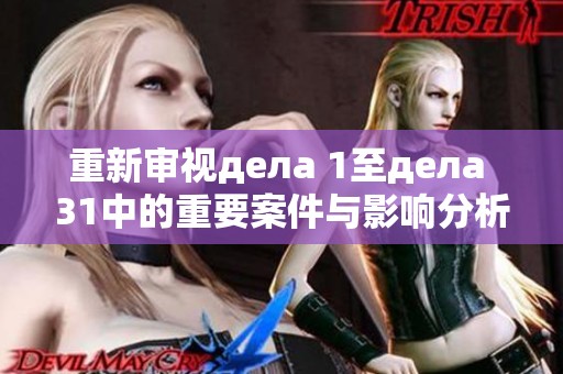 重新审视дела 1至дела 31中的重要案件与影响分析