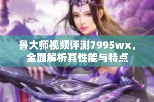 鲁大师视频评测7995wx，全面解析其性能与特点