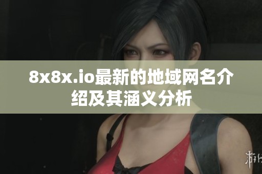 8x8x.io最新的地域网名介绍及其涵义分析