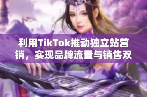 利用TikTok推动独立站营销，实现品牌流量与销售双增长