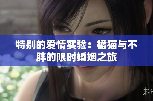 特别的爱情实验：橘猫与不胖的限时婚姻之旅