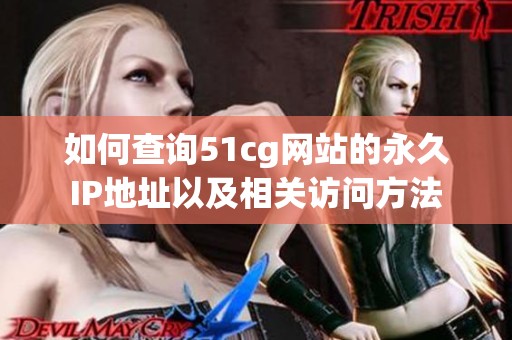 如何查询51cg网站的永久IP地址以及相关访问方法