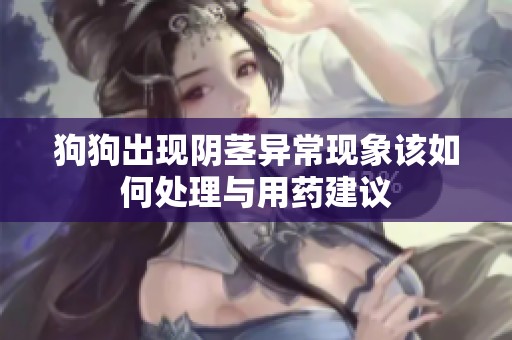 狗狗出现阴茎异常现象该如何处理与用药建议