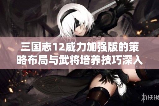 三国志12威力加强版的策略布局与武将培养技巧深入分析与分享