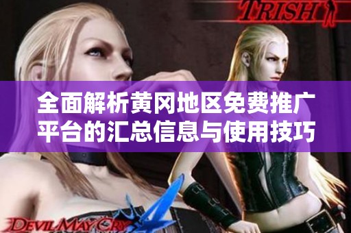 全面解析黄冈地区免费推广平台的汇总信息与使用技巧