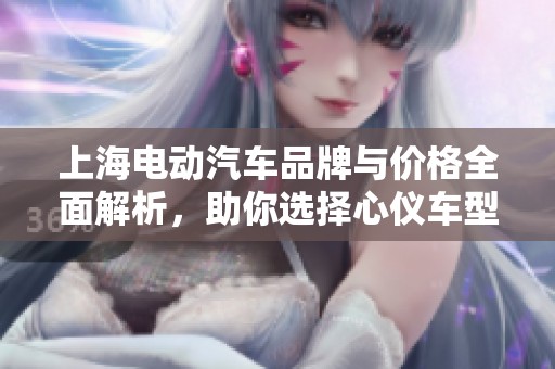 上海电动汽车品牌与价格全面解析，助你选择心仪车型